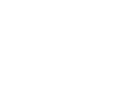 2018 American Advertising Award Winner